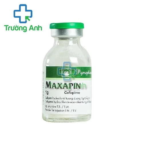 Maxapin 2g - Thuốc điều trị các bệnh nhiễm trùng